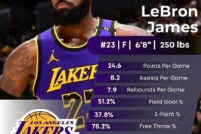 包含表现优异首场状态出色，G2观众沸腾！，詹姆斯重返赛场再创辉煌时刻的词条-开云APP